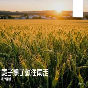 午夜福利观看视频1
