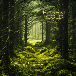 午夜福利观看视频1
