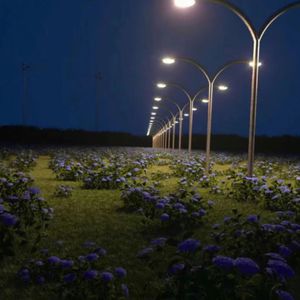 午夜福利观看视频1
